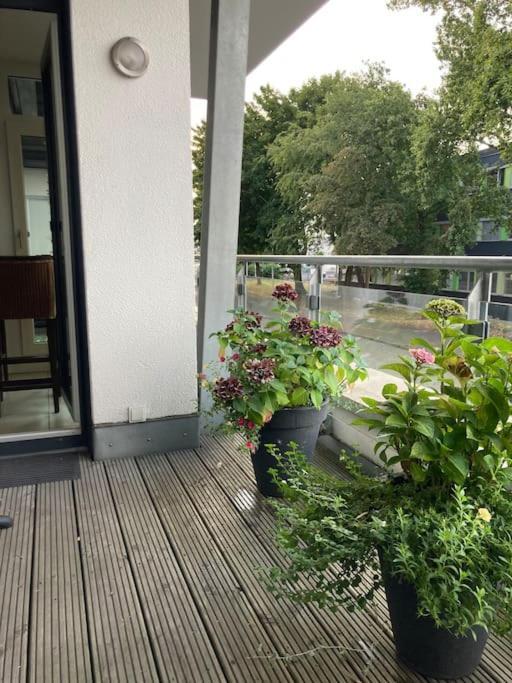 Ferienwohnung In Der Naehe Von Koeln فريشن المظهر الخارجي الصورة